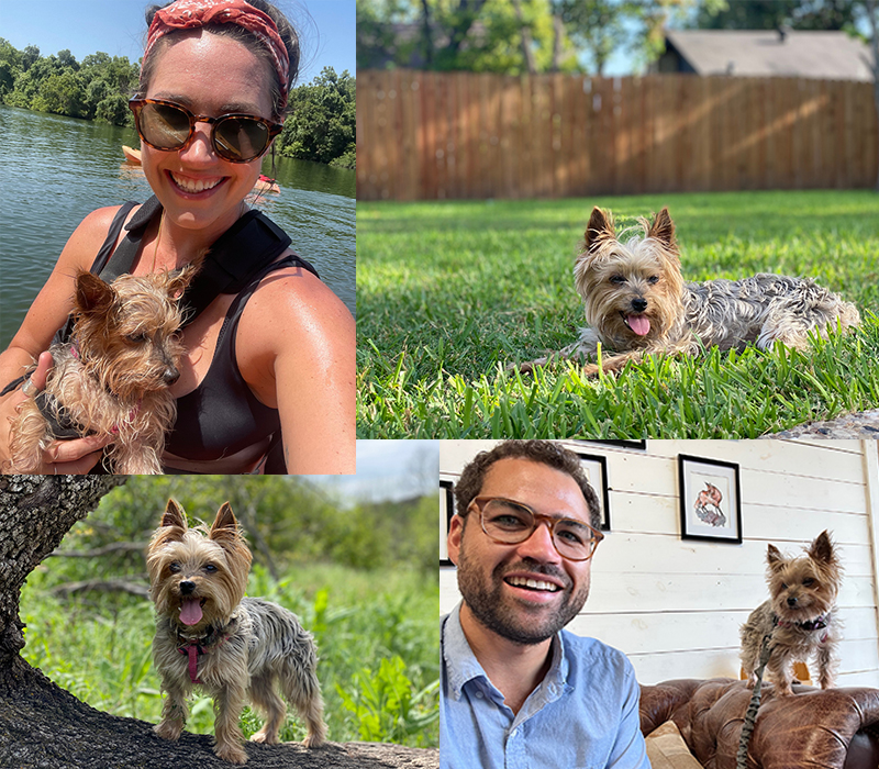 Bella and Her Loving Family