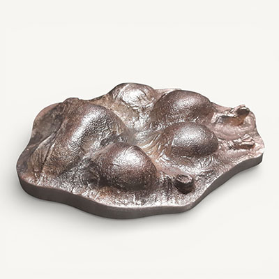 Bronze relief style dog paw
