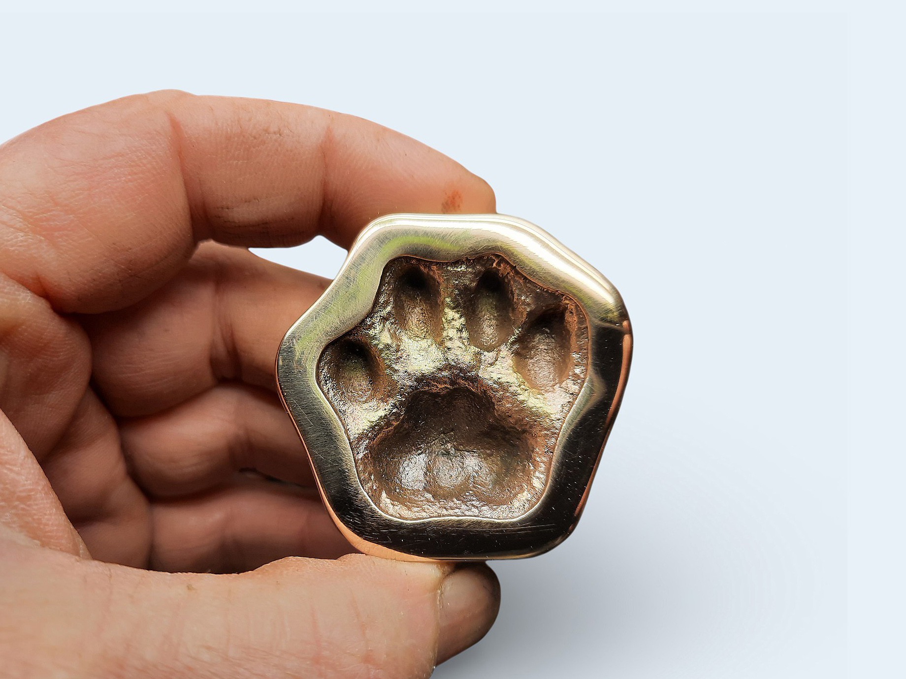 Tracy the artist holding puppies