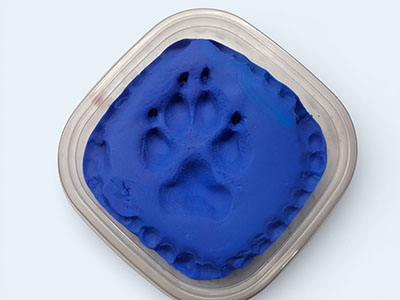 A good impression of a dog paw in blue Play-Doh.