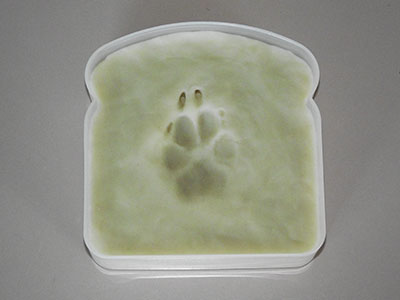 Example of a dog paw impression in Play-Doh