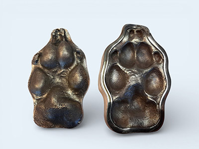 Giant bronze Pet-Paw set
