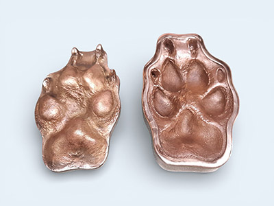 Large bronze Pet-Paw set