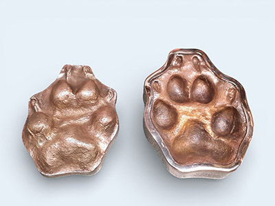 Large bronze Pet-Paw set