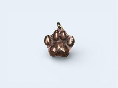 Bronze Pet-Paw Pendant