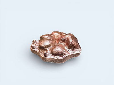 Small bronze dog Pet-Paw