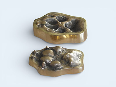 Small dog Pet-Paw set