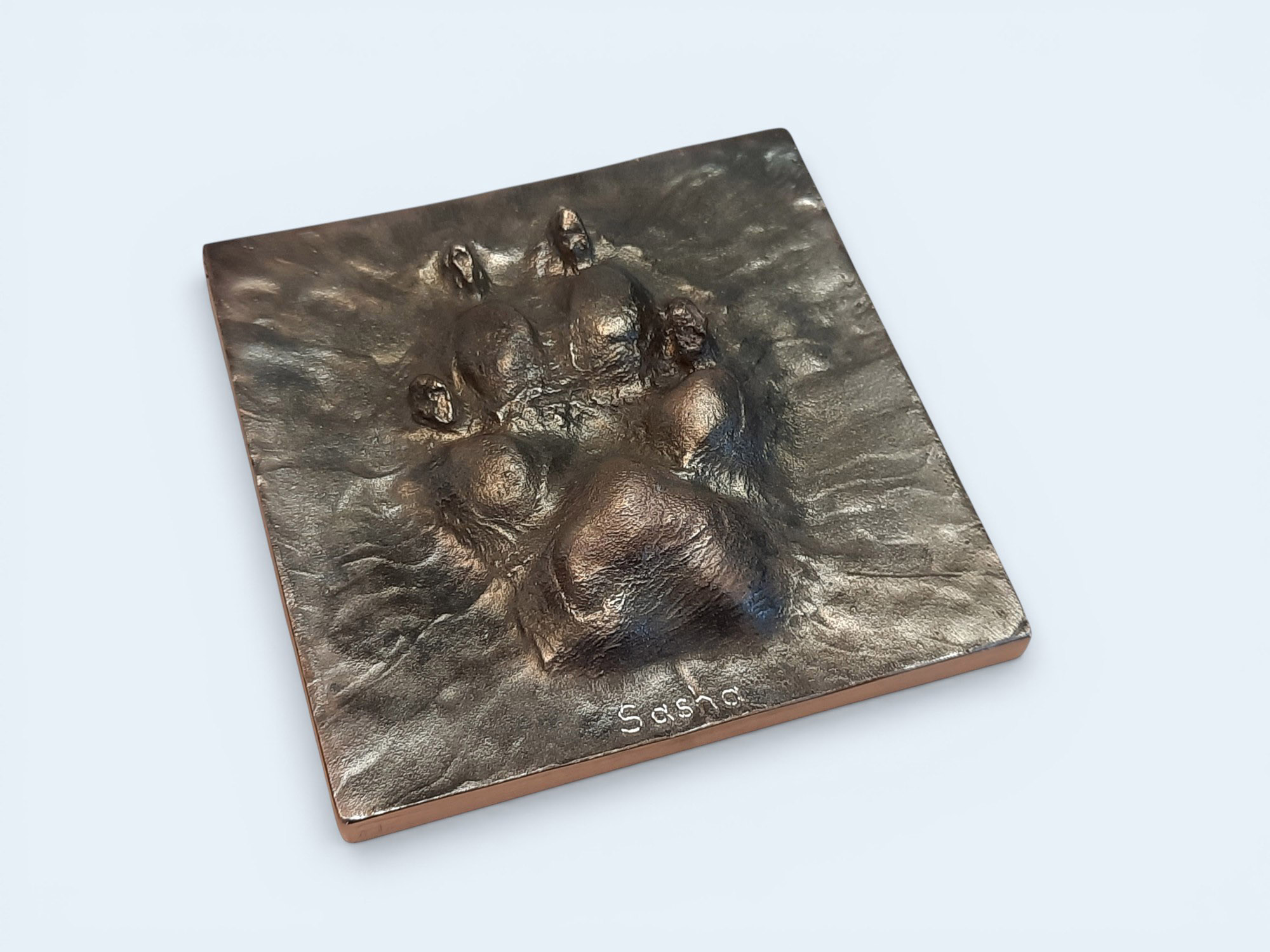 Bronze paw tile