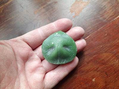 Wax pattern of a dog nose